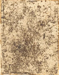 Sankt Catherine