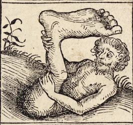 En sciopod, mand med en hævet fod, fra ``Registrum Hujus Operis Libri Cronicarum cum Figuri et Imagibus ab Inicio Mundi