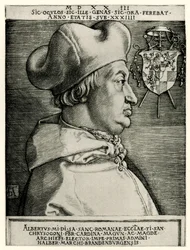 Albert af Brandenburg