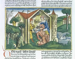 Apokryfer: Tobit er blændet af spurveekskrementer, fra Nürnbergbibelen (Biblia Sacra Germanaica) (farvet træsnit)