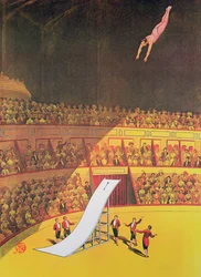Cirkus højdykker