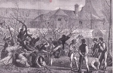 At fælde træer rundt om Paris til brænde, Cassells History of the War between France and Germany udgivet af Cassell and Company Limited, ca. 1890 (litho)