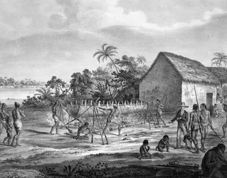 Europæisk byttehandel i Miranhas-stammens flodhavn, Amiro Japara, illustration fra Atlas of a Journey in Brasil