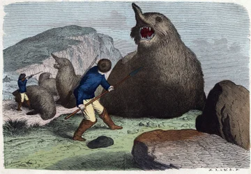 Jægere, der kæmper mod søelefanter. I Når nogen rejser, er det, hvad han kan fortælle, tysk fortælling af Franz Wiedemann
