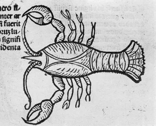 Le Cancer - i afhandling af Johannes Angeli De Magnisconnectionibue annorum revolutionis et eum pefectionis. Augsburg, Erhard Ratdolt