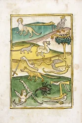 Monstre og slanger i et landskab, 1478
