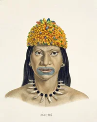 Indfødt mand af Mauhe-stammen, med hovedbeklædning af små blå og orange fjer, fra Atlas of a Journey in Brazil af Johann Baptist von Spix (1781-1826) og Karl Friedrich Philipp Martius (1794-1868)