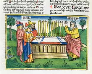 Nummer 17 1-11 Aarons stav blomstrer på alteret, fra Nürnbergbibelen (Biblia Sacra Germanaica) (farvet træsnit)