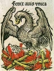 Phoenix offentliggjort i Nürnberg Chronicle, 1493