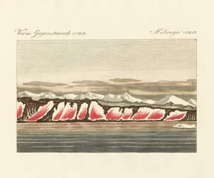 Rødfarvet sne (farvet gravering)