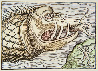 Havmonster forbrugende menneskeligt offer