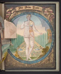 Tabeller, der repræsenterer mennesket i tre forskellige tilstande, Tilføj MS 5788