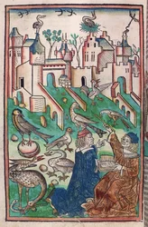 Fuglene og luftens skabninger, illustration fra "Hortus Sanitatis" ("Sundhedshaven") 1491 (farvet træsnit)