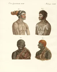 Indbyggerne i Australien (farvet gravering)