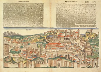 Udsigt over byen Rom, fra Nürnberg-krøniken af Hartmann Schedel (1440-1514) 1493