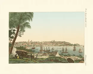 Udsigt over byen Sydney (farvet gravering)
