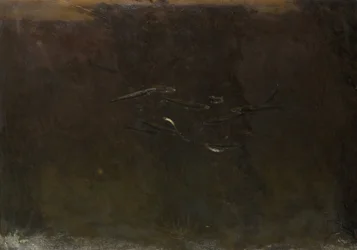 Fisk i et akvarium