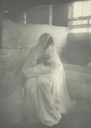Krybben, 1899.