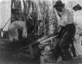 Tre arbejdere. Foto, der viser tre afroamerikanske arbejdere på arbejde. (ca. 1900) Af Gertrude Kasebier