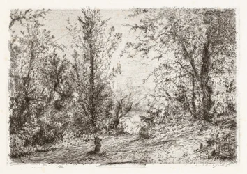 Skov ved Lago Maggiore [Skov ved Lago Maggiore]