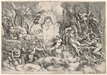 Procris