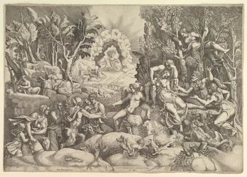 Procris
