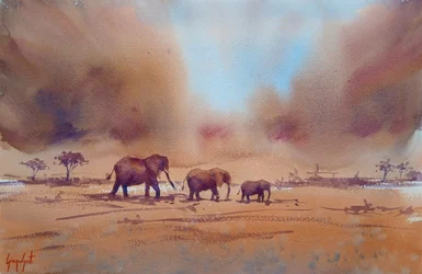 Afrikansk elefants rejse