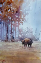 Bison i efterårståge