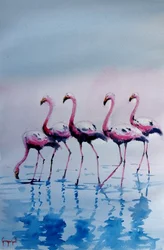 Rosa flamingoer i vandet
