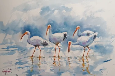 Refleksioner om den hvide ibis