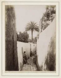 Kvinder og børn i en gyde på Capri