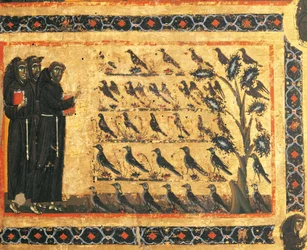 Fortællinger om Sankt Frans: Sankt Frans prædiker for fuglene, fresko af Giotto (1267-1337), ca. 1325. Bardi-kapellet i Vernio, Basilica di Santa Croce, Firenze, Italien