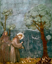 Episode af Saint Francois af Assisis liv (San Francesco): "" Fuglenes prædikation""" Fresco af Giotto (Ambrogio di Bondone)