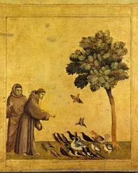 Sankt Francois af Assisi prædiker fugle. Detalje af predelle af St. Frans af Assisi, der modtager stigmaerne. Maleri af Giotto Di Bondone
