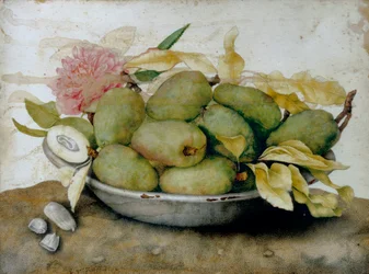 Tallerken med loquats, mandler og en rose