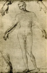 Modelstudie til en jomfru Maria som mater misericordiae