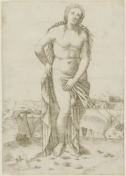 Venus