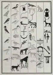 Tegninger af dekorationerne inde fra Farao Psammetic I