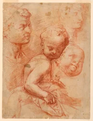 Tegning, Studie af mand-, kvinde- og barnehoveder, siddende barn, ca. 1570