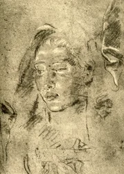 Head of a Young Woman, midten af det 18. århundrede, 1928