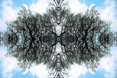 Unaturlig 100 (digitalt manipuleret foto)