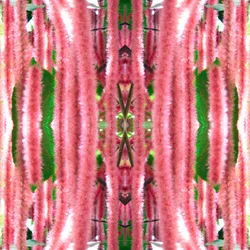 Unaturlig 172 (digitalt manipuleret foto)