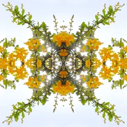 Unaturlig 175 (digitalt manipuleret foto)