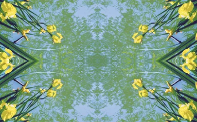 Unaturlig 17 (digitalt manipuleret foto)
