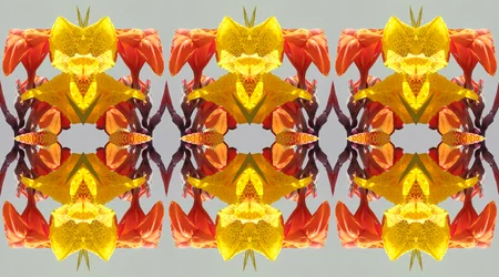 Unaturlig 190 (digitalt manipuleret foto)