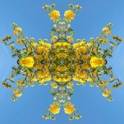 Unaturlig 193 (digitalt manipuleret foto)