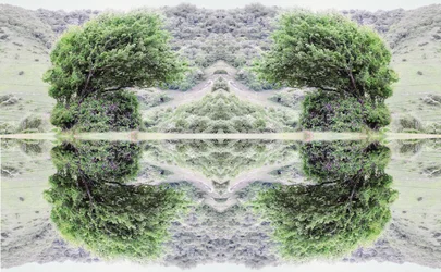 Unaturlig 40 (digitalt manipuleret foto)