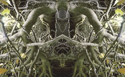 Unaturlig 41 (digitalt manipuleret foto)