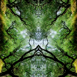 Unaturlig 75 (digitalt manipuleret foto)
