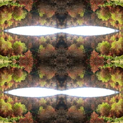 Unaturlig 77.1 (digitalt manipuleret foto)